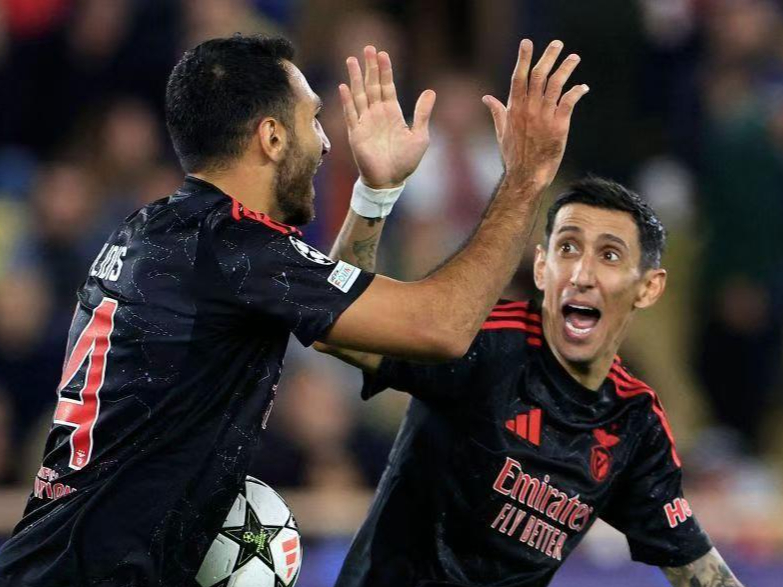 yabo亚博体育下载关于法国杯今晨走向成谜,本菲卡强势反弹,气氛紧张,球队文化再被提及的信息